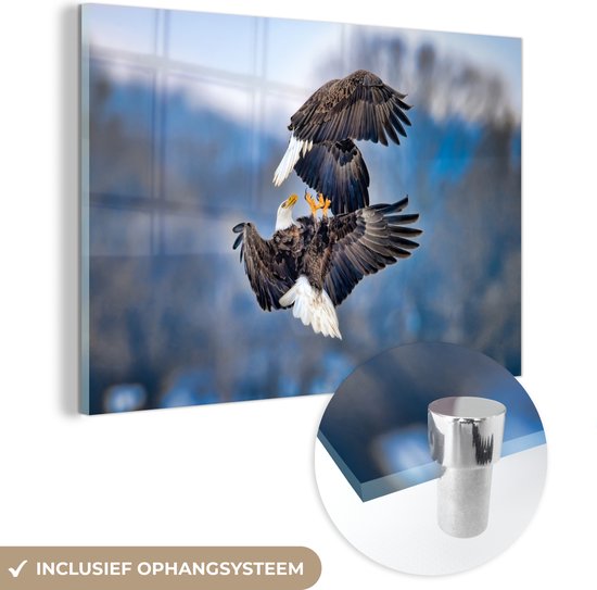 MuchoWow® Glasschilderij 120x80 cm - Schilderij acrylglas - Adelaar - Vogel - Lucht - Foto op glas - Schilderijen