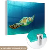 MuchoWow® Glasschilderij 150x100 cm - Schilderij acrylglas - Close-up foto van groene zeeschildpad - Foto op glas - Schilderijen