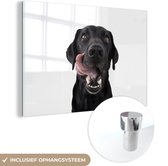 MuchoWow® Glasschilderij 90x60 cm - Schilderij acrylglas - Hond - Zwart - Lik - Foto op glas - Schilderijen
