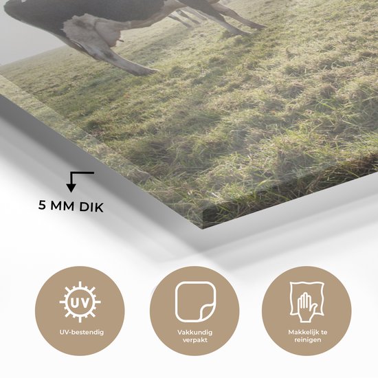 Peinture sur verre - Vaches - Lumière - Herbe - 180x120 cm - Peintures acryliques - Photo sur Glas