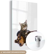MuchoWow® Glasschilderij 20x30 cm - Schilderij acrylglas - Kat die op een hond ligt - Foto op glas - Schilderijen