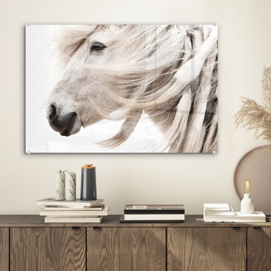 MuchoWow® Peinture sur Verre - Cheval - Crinière - Wit - 60x40 cm - Peintures sur Verre Acrylique - Photo sur Glas