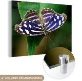 MuchoWow® Glasschilderij 150x100 cm - Schilderij acrylglas - Blauwe Golf vlinder - Foto op glas - Schilderijen