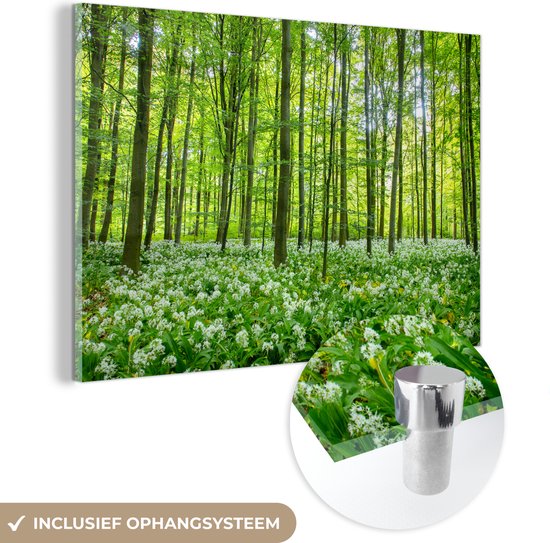 MuchoWow® Glasschilderij 150x100 cm - Schilderij acrylglas - Bos - Bomen - Groen - Foto op glas - Schilderijen
