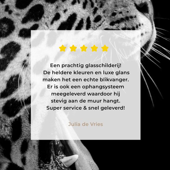 Peinture sur verre - Jaguar - Animal - Zwart - Wit - 60x40 cm - Peintures Plexiglas