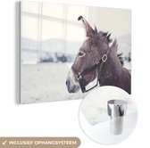 MuchoWow® Glasschilderij 150x100 cm - Schilderij acrylglas - Ezel in de sneeuw - Foto op glas - Schilderijen
