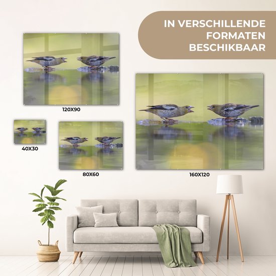 MuchoWow® Peinture sur verre 160x120 cm - Peinture sur verre acrylique - Bain d'oiseaux - Vogel - Water - Photo sur verre - Peintures