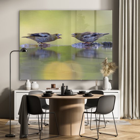 MuchoWow® Peinture sur verre 160x120 cm - Peinture sur verre acrylique - Bain d'oiseaux - Vogel - Water - Photo sur verre - Peintures