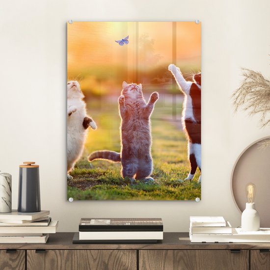 Peinture sur verre - Photo sur verre - Chats - Chat - Papillon - Coucher de soleil - Nature - 30x40 cm - Verre acrylique - Peinture sur verre nature - Peinture sur verre - Décoration murale