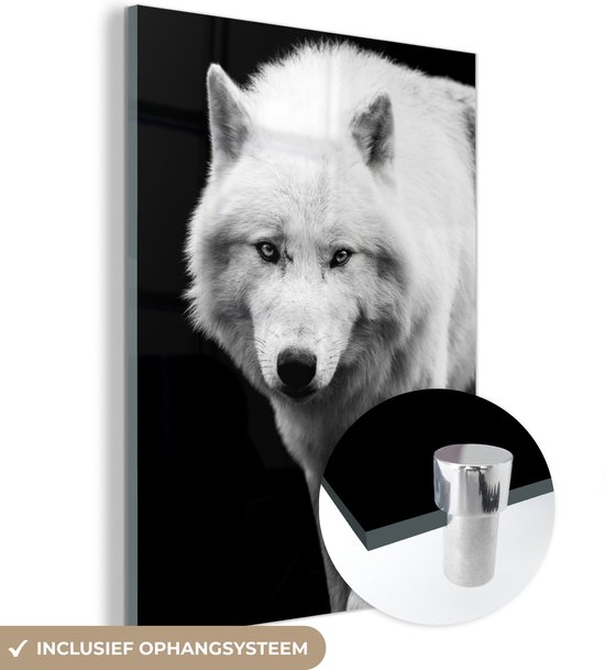 Glasschilderij - Foto op glas - Acrylglas - Wolf - Dier - Wit - Zwart - Roofdier - 30x40 cm - Glasschilderij wolf - Glasschilderij zwart wit - Wanddecoratie glas - Woondecoratie