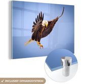 MuchoWow® Glasschilderij 90x60 cm - Schilderij acrylglas - Adelaar - Zeearend - Prooi - Jagen - Vogels - Foto op glas - Schilderijen