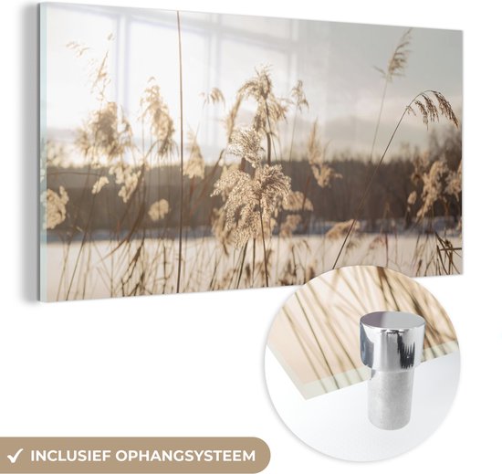 MuchoWow® Glasschilderij - Water - Pampasgras - Planten - Acrylglas Schilderijen - Foto op Glas