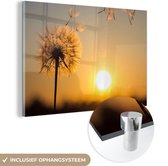 MuchoWow® Glasschilderij 150x100 cm - Schilderij acrylglas - Paardenbloem - Zon - Zonsondergang - Foto op glas - Schilderijen