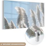 MuchoWow® Glasschilderij 120x60 cm - Schilderij acrylglas - Lucht - Gras - Pampasgras - Foto op glas - Schilderijen