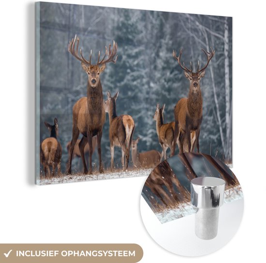 MuchoWow - Glasschilderij - Hert - Winter - Natuur - Wanddecoratie - Foto op glas - Acrylglas - 60x40 cm - Glasschilderij dieren - Muurdecoratie - Schilderij glas