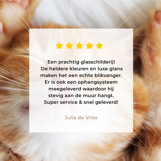 Peinture sur verre - Photo sur verre - Verre acrylique - Chat - Couverture - Chat - Chaton - Animaux - Peintures salon - 40x30 cm - Peinture sur verre - Décoration murale - Décoration murale