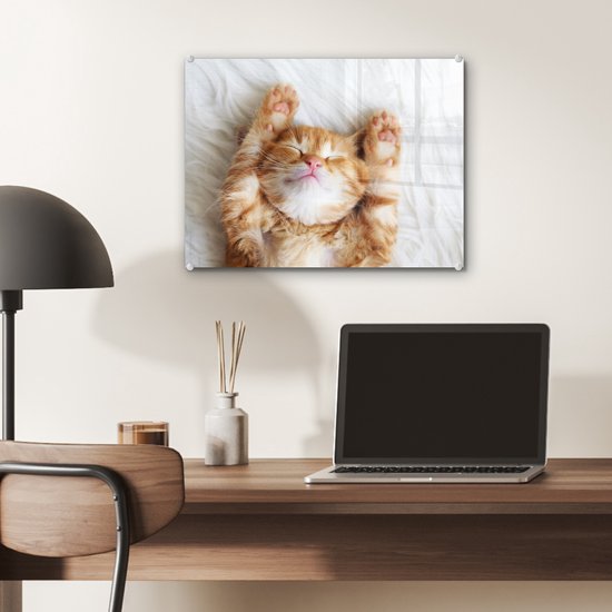 Peinture sur verre - Photo sur verre - Verre acrylique - Chat - Couverture - Chat - Chaton - Animaux - Peintures salon - 40x30 cm - Peinture sur verre - Décoration murale - Décoration murale