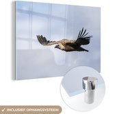 MuchoWow® Glasschilderij - Vale gier vliegt onder een dicht wolkenveld - 90x60 cm - Acrylglas Schilderijen - Foto op Glas