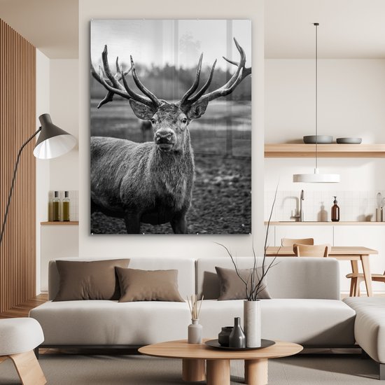 Peinture sur verre - Photo sur verre - Animaux - Cerfs - Bois - Forêt - Nature - 120x160 cm - Verre acrylique - Verre de Décoration murale murale - Peinture sur verre cerf - Peinture sur verre animaux - Décoration de chambre
