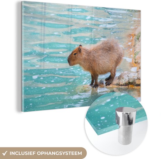 MuchoWow® Glasschilderij 90x60 cm - Schilderij acrylglas - Een Capibara staat bij het water in zacht zonlicht - Foto op glas - Schilderijen