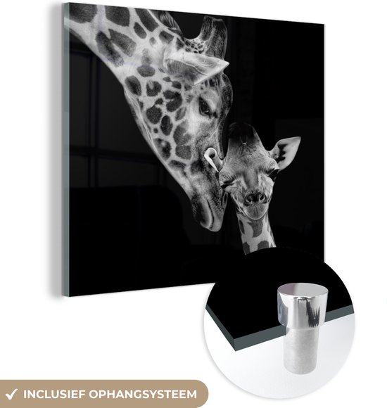 Glasschilderij - Foto op glas - Acrylglas - Wilde dieren - Giraffe - Familie - Zwart wit - 90x90 cm - Glasschilderij giraffe - Wanddecoratie glas - Decoratie woonkamer - Glasschilderij dieren