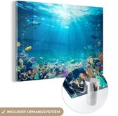 MuchoWow - Glasschilderij - Acrylglas - Vissen - Onderwaterwereld - Water - Tropische vissen - Foto op glas - 120x80 cm - Glasschilderij zee - Schilderij glas - Glasschilderij natuur