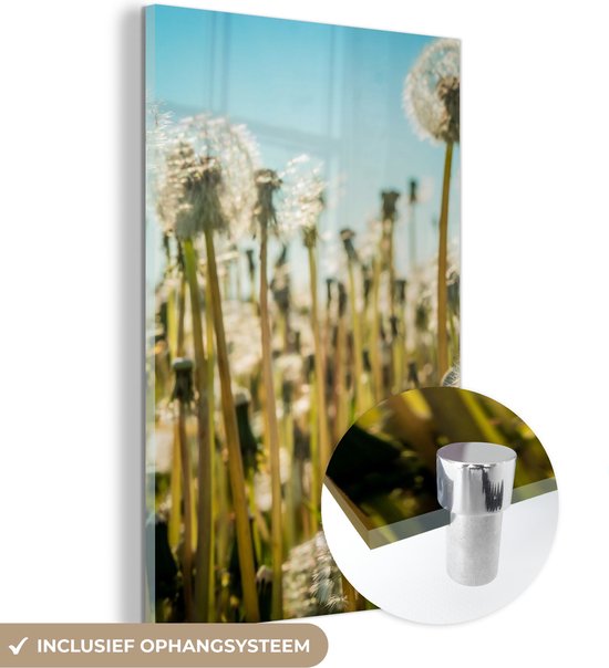 MuchoWow® Glasschilderij 100x150 cm - Schilderij acrylglas - Bloemen - Paardenbloem - Grasveld - Foto op glas - Schilderijen