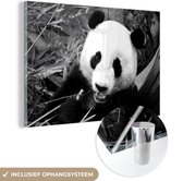 MuchoWow® Glasschilderij 180x120 cm - Schilderij acrylglas - Etende panda - zwart wit - Foto op glas - Schilderijen