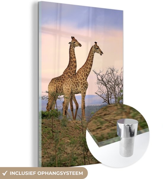 Glasschilderij - Giraffes - Lucht - Landschap - Plexiglas Schilderijen