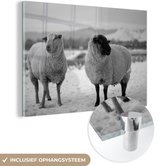 MuchoWow® Peinture sur verre 180x120 cm - Peinture sur verre acrylique - Deux moutons dans la neige - noir et blanc - Photo sur verre - Peintures