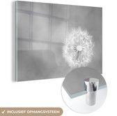 MuchoWow® Glasschilderij 180x120 cm - Schilderij acrylglas - Paardebloem fotoprint - zwart wit - Foto op glas - Schilderijen