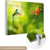 MuchoWow® Glasschilderij 180x120 cm - Schilderij acrylglas - Vogel - Kolibrie - Groen - Foto op glas - Schilderijen