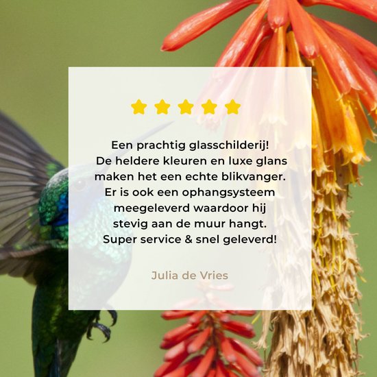 Colibri se nourrit d'une belle fleur en plexiglas 60x40 cm - Tirage photo sur Glas (décoration murale en plexiglas)