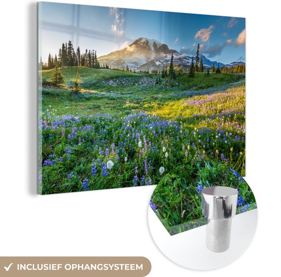 MuchoWow® Peinture sur verre 60x40 cm - Peinture sur verre acrylique - Berg - Fleurs - Printemps - Photo sur verre - Peintures