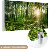 MuchoWow® Glasschilderij 40x20 cm - Schilderij acrylglas - Bos - Zon - Lente - Foto op glas - Schilderijen
