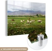 MuchoWow® Glasschilderij 120x80 cm - Schilderij acrylglas - Schapen - Eten - Gras - Foto op glas - Schilderijen