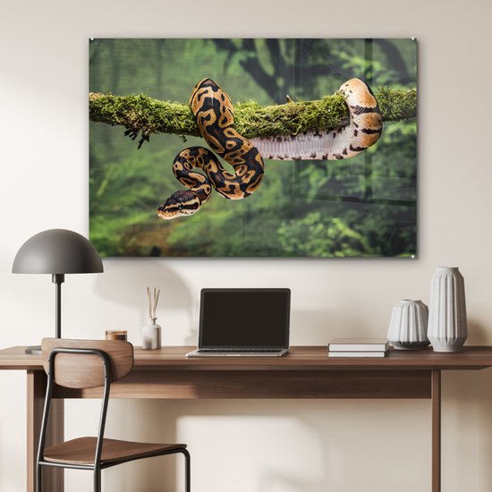 Peinture sur verre MuchoWow® 120x80 cm - Peinture acrylique sur verre - Un serpent dans un arbre - Photo sur verre - Peintures