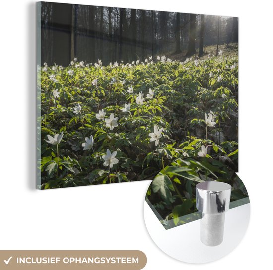 MuchoWow® Peinture sur verre 180x120 cm - Peinture acrylique sur verre - Fleurs - Printemps - Forêt - Photo sur verre - Peintures