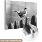 MuchoWow® Peinture sur verre 180x120 cm - Peinture sur verre acrylique - Troglodyte sur une clôture avec matériel de nidification - noir et blanc - Photo sur verre - Peintures