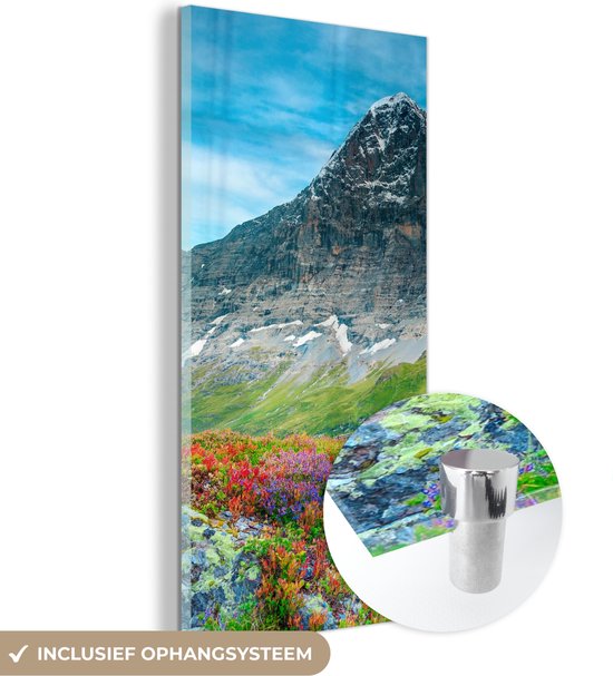 MuchoWow® Peinture sur verre 40x80 cm - Peinture sur verre acrylique - Fleurs - Berg - Neige - Paysage - Photo sur verre - Peintures
