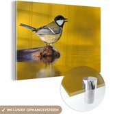 MuchoWow® Glasschilderij 30x20 cm - Schilderij acrylglas - Koolmees - Vogel - Water - Foto op glas - Schilderijen