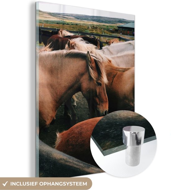 MuchoWow® Glasschilderij 60x80 cm - Schilderij acrylglas - Paarden - Dieren - Wild - Foto op glas - Schilderijen
