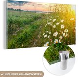 MuchoWow® Peinture sur Verre - Fleurs - Marguerite - Nature - Soleil - Horizon - 120x60 cm - Peintures sur Verre Peintures - Photo sur Glas