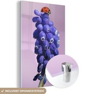 MuchoWow® Glasschilderij 40x60 cm - Schilderij acrylglas - Druifhyacint met een lieveheersbeestje op de top - Foto op glas - Schilderijen