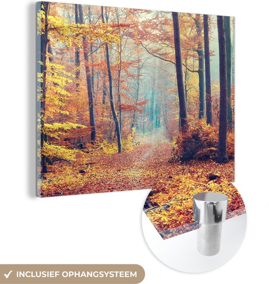 MuchoWow® Peinture sur verre 160x120 cm - Peinture sur verre acrylique - Forêt - Automne - Feuilles - Photo sur verre - Peintures