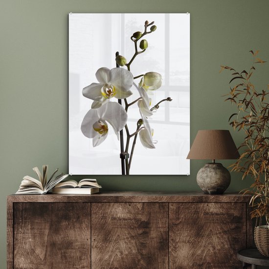 Peinture sur Verre - Orchidée Witte - 60x80 cm - Peintures sur Verre Peintures - Photo sur Glas