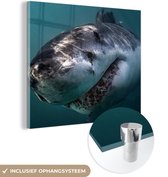 MuchoWow® Glasschilderij 90x90 cm - Schilderij acrylglas - Haai - Wit - Water - Foto op glas - Schilderijen