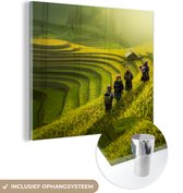 MuchoWow® Glasschilderij 50x50 cm - Schilderij acrylglas - Boeren op rijstvelden - Foto op glas - Schilderijen