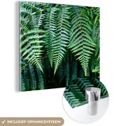 MuchoWow® Peinture sur verre 50x50 cm - Peinture sur verre acrylique - Fougères vertes - Photo sur verre - Peintures