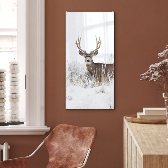 MuchoWow® Peinture sur verre 40x80 cm - Peinture acrylique sur verre - Cerf - Hiver - Neige - Animaux - Saisons - Wit - Photo sur verre - Peintures
